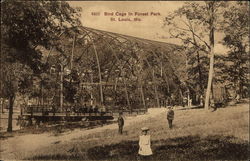 Bird cage in Forest Park St. Louis, MO Postcard Postcard