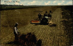 Reaping in the West Postcard