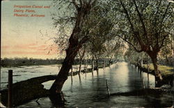 Irrigation Canal and Diary Farm Phoenix, AZ Postcard Postcard