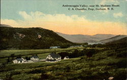 Androscoggin Valley, near Mt. Madison House Postcard