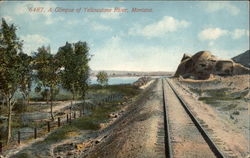 A Glimpse of Yellowstone River Postcard