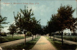 Entrance to Agricultural College Postcard