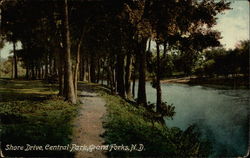 Shore Drive, Central Park, Grand Forks, N.D Postcard