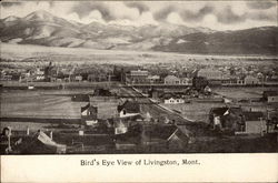 Bird's Eye View Postcard