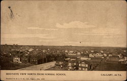 Bird's-Eye View North from Normal School Postcard