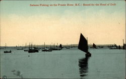 Salmon Fishing on the Fraser River Postcard