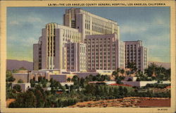 Los Angeles County General Hospital Postcard