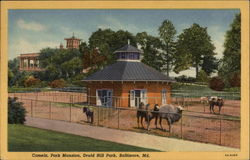 Camels, Park Mansion, Druid Hill Park Baltimore, MD Postcard Postcard