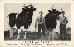 "Pete and Punk" - Biggest Team of Twin Oxen Ever Recorded Vermont Postcard Postcard