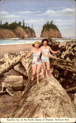 Vacation fun on the Pacific Shores of Olympic National Park Postcard