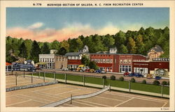 Business Section of Saluda, N.C. from recreation center North Carolina Postcard Postcard