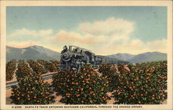 Sante Fe Train Entering Southern California, Through The Orange Groves Postcard