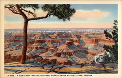 A view from Yavapai Footpath Postcard