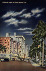 Biscayne Blvd. At Night Miami, FL Postcard Postcard