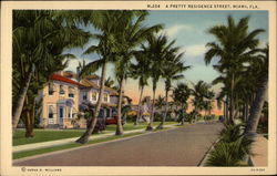 A Pretty Residence Street Miami, FL Postcard Postcard