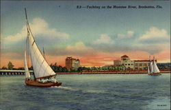 Yachting on the Manatee River Postcard