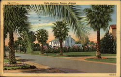 Calle Encanto Tucson, AZ Postcard Postcard