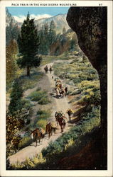 Pack Train in the High Sierra Mountains Postcard