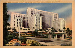 Los Angeles County General Hospital California Postcard Postcard