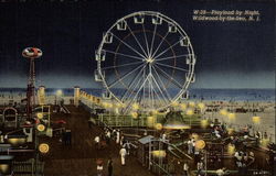 Playland by Night Postcard