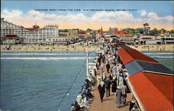 Looking West from the Pier Postcard