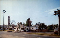 Palm Motel Postcard