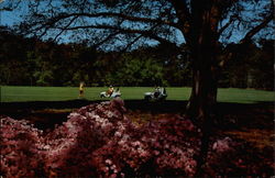 Callaway Gardens Pine Mountain, GA Postcard Postcard