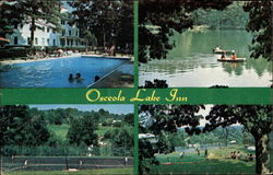 Rubin's Osceola Lake Inn Hendersonville, NC Postcard Postcard