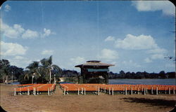 Bandshell at lake Eola Park Orlando, FL Postcard Postcard