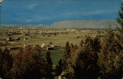 View from Lone Pine State Park Kalispell, MT Postcard Postcard