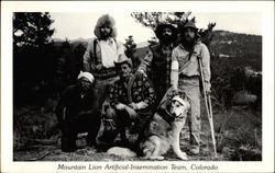 Mountain Lion Artificial-Insemination Team, Colorado Salida, CO Comic, Funny Postcard Postcard