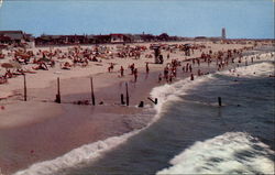 Beach Scene Postcard