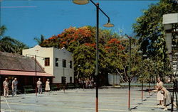 Mirror Lake Shuffleboard Courts St. Petersburg, FL Postcard Postcard