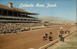 Caliente Race Track Postcard