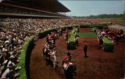 Hollywood Park Inglewood, CA Postcard Postcard