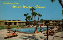 Greetings from Weeki Wachee, Florida Postcard