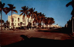 Business Section and Civic Center Postcard