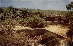 Old Water Catchment - Wake Island World War II Postcard Postcard