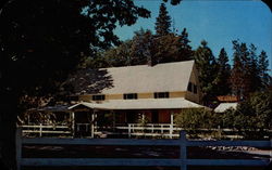 Dinsmore Lodge & Ranch California Postcard Postcard