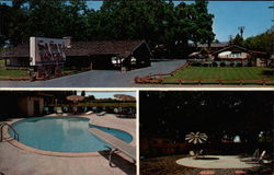 Safari Garden Motel Postcard