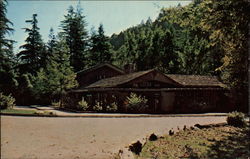 Big Sur Lodge, Pfeifer Big Sur State Park California Postcard Postcard