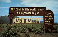 Welcome to this world famous wine growing region Napa, CA Postcard Postcard