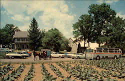 The Amish Farm & House Postcard