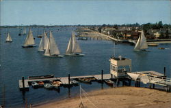 Balboa Yacht Club, Balboa Island Postcard