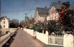 Street Scene in Quaint and Historic Tangier Island Virginia Postcard Postcard