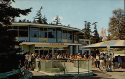 Point Defiance Park Aquarium Postcard