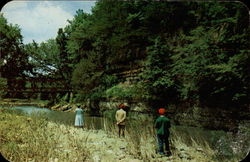 Fishing Scene in Apple River Canyon State Park Illinois Postcard Postcard