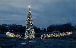 Christmas as President's Park Washington, DC Washington DC Postcard Postcard