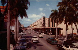 View of Main Business Section Postcard