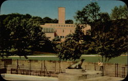 Sea Lion Pool, Cleveland Zoological Gardens Ohio Postcard Postcard